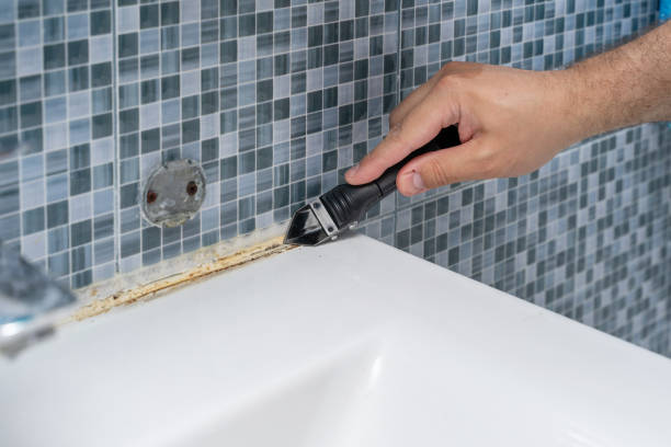 Best Post-Flood Mold Remediation in Parkland, FL