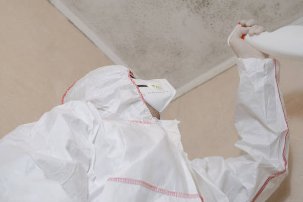 Best Industrial Mold Remediation in Parkland, FL