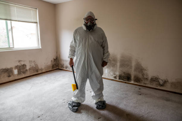 Best Mold Testing and Inspection Services in Parkland, FL